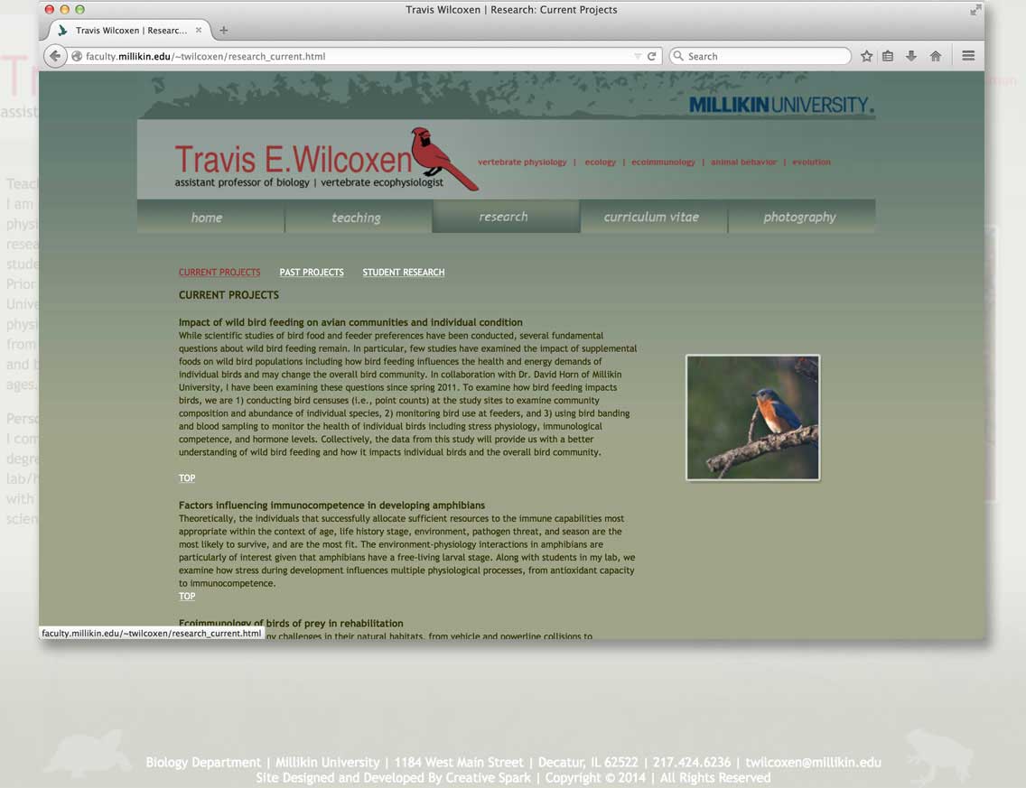 Travis Wilcoxen Website
