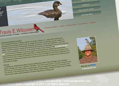    Travis Wilcoxen Website