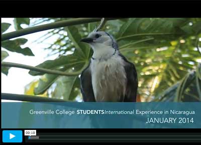 Design On A Mission research poster